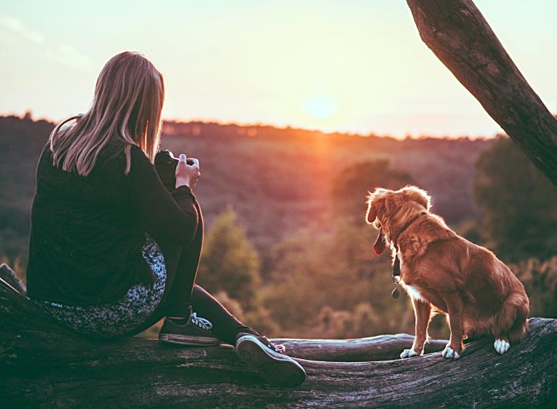 Creating a Nurturing Environment for Your Furry Friend