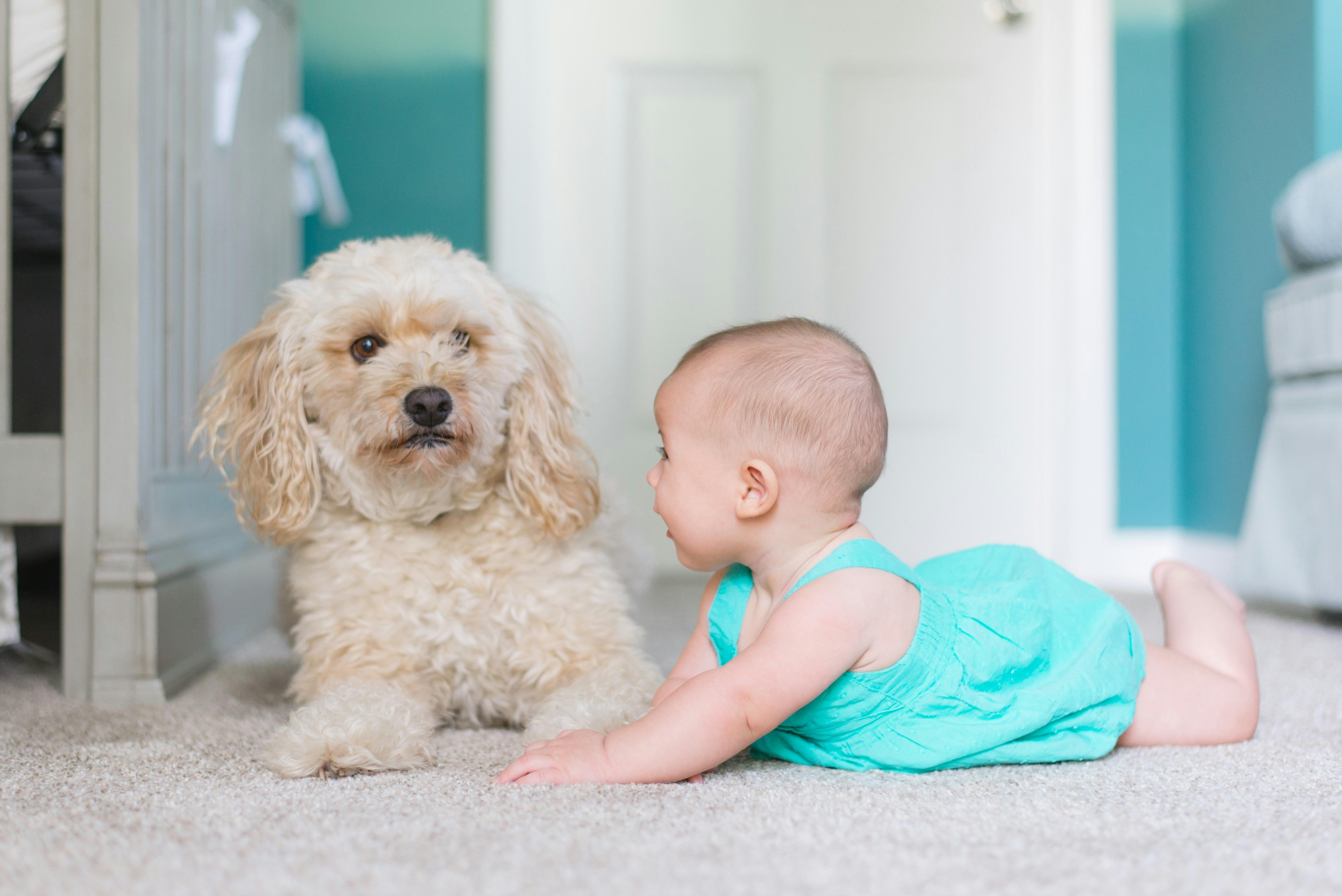 Understanding the Risks of Early Exposure
