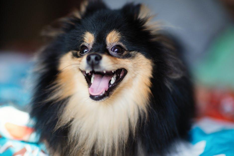 Understanding the Root Causes of Barking