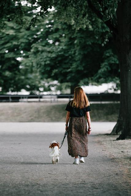 How to Train a Dog to Stop Pulling on the Leash