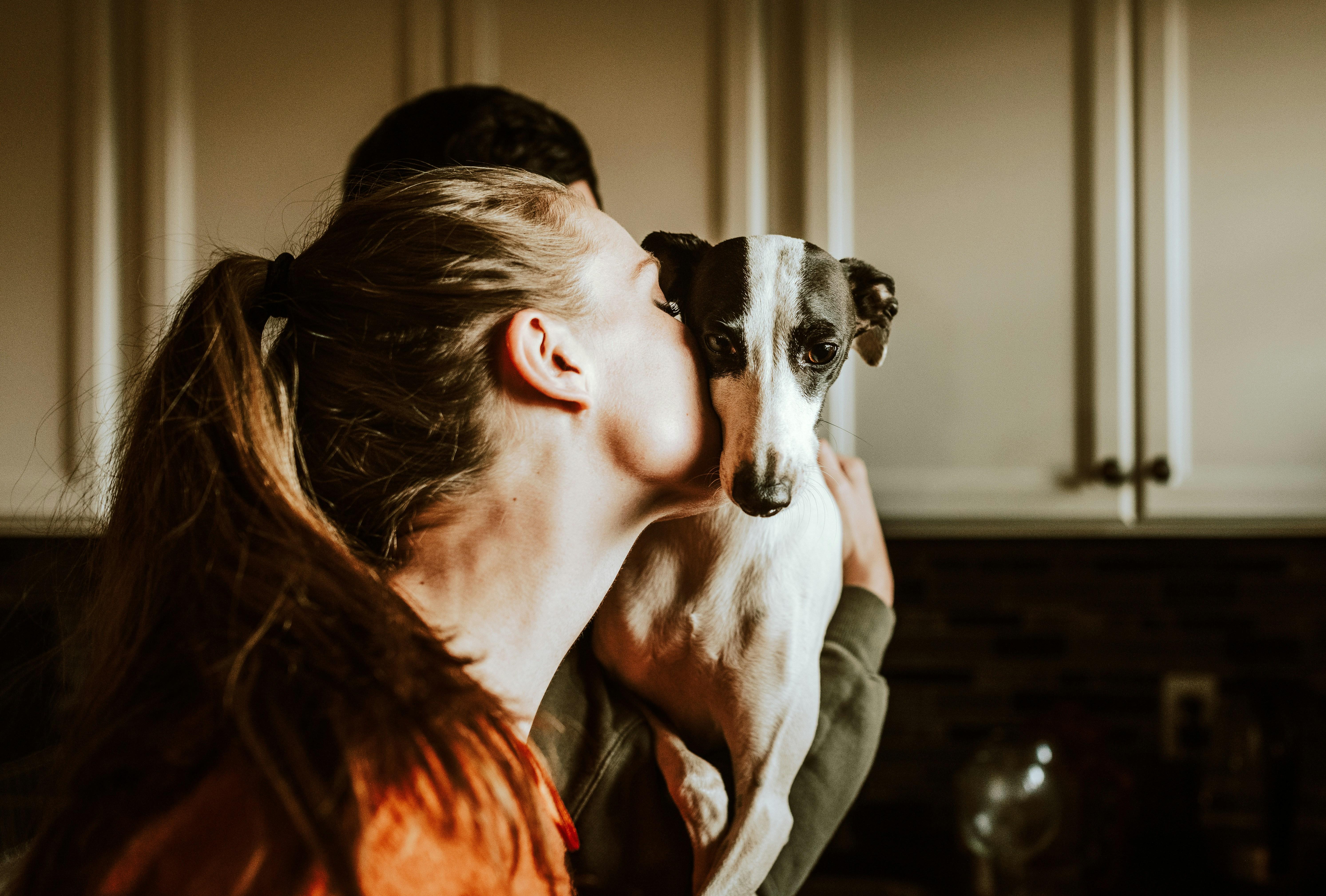 Expert Tips: Encouraging and Nurturing Your Pets Affection