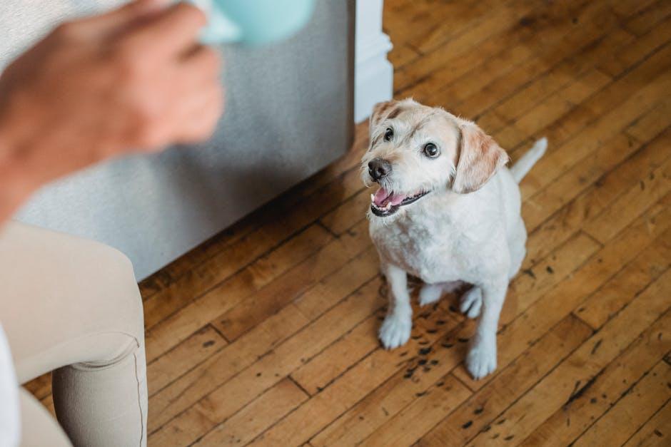 Is Early Socialization Really Beneficial for Puppies