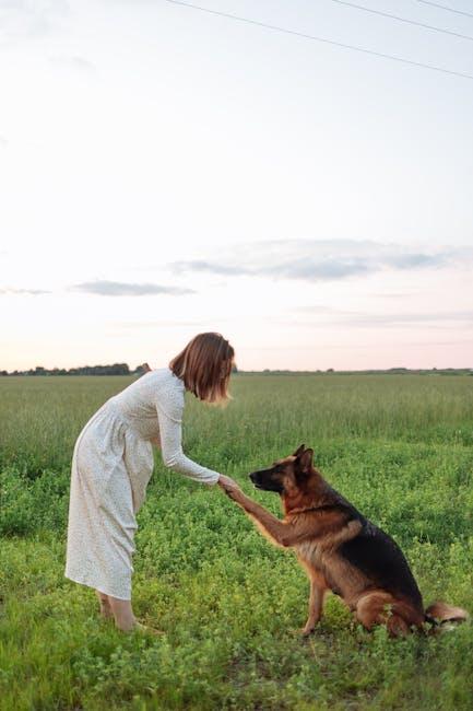 The Power ​of Patience in Dog⁣ Training