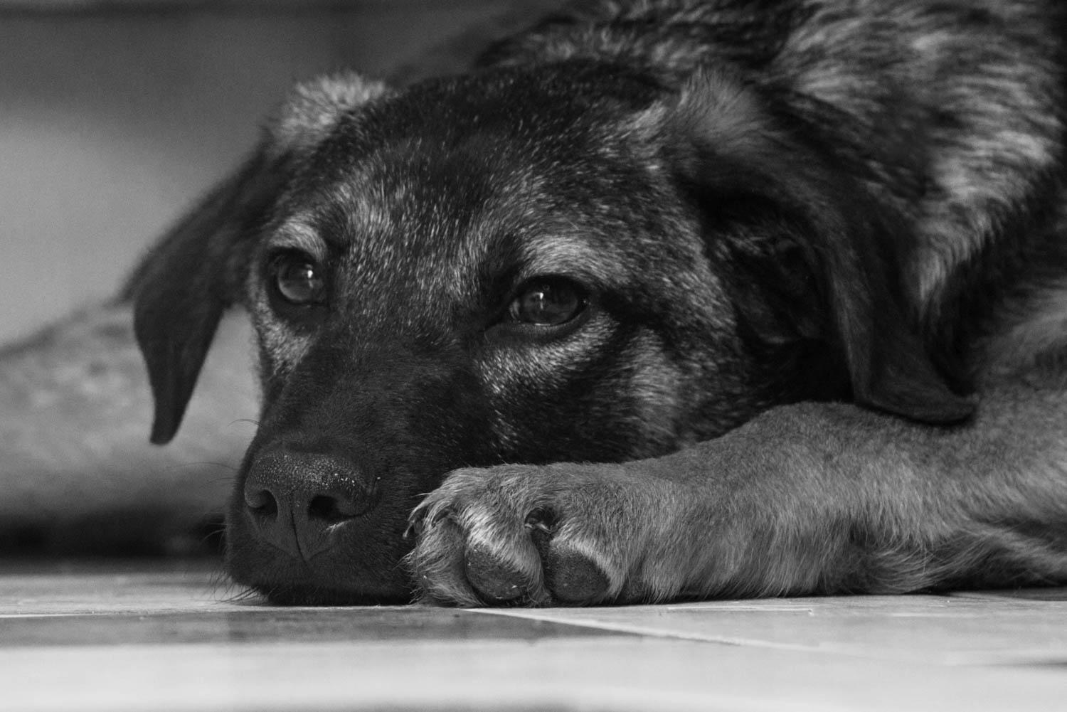 Gradual Exposure to New Experiences