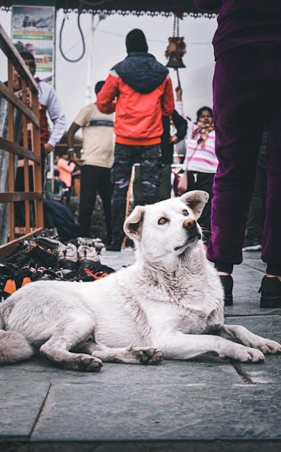 Building Stronger Bonds: Encouraging Healthy Social Interactions