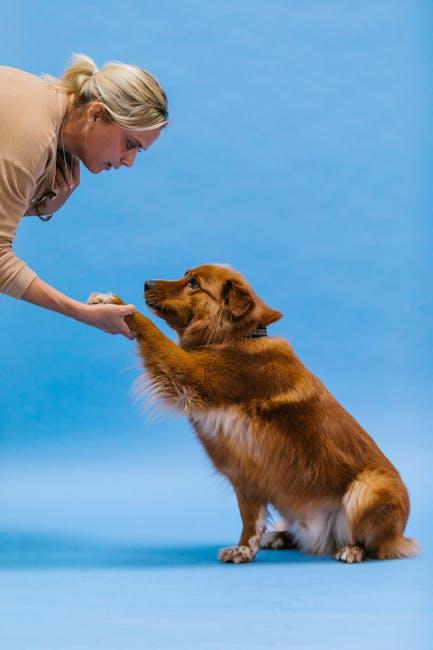 Unlocking Canine Potential with <a href=