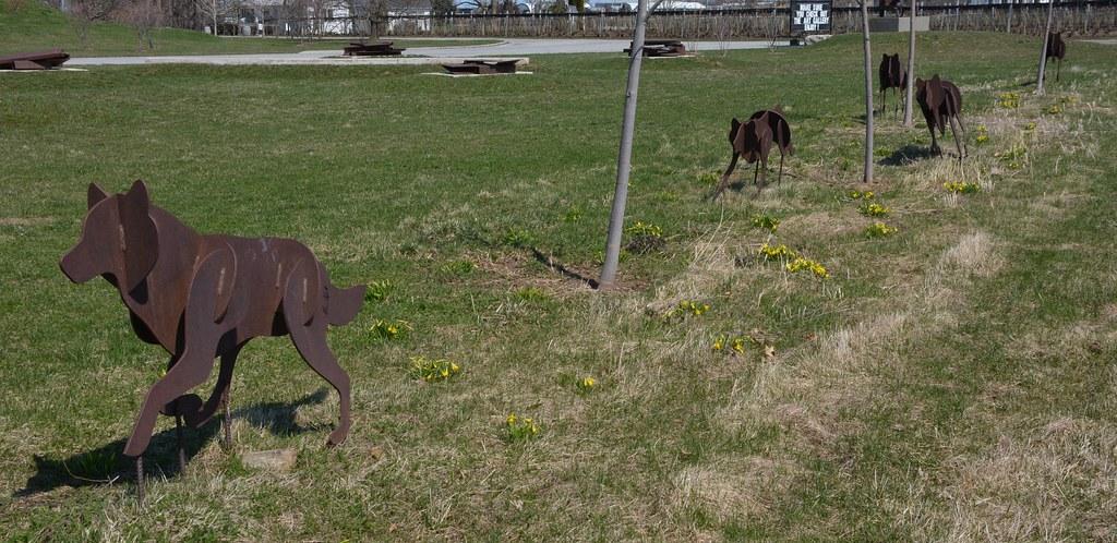 How Social Instincts Influence Your Dogs Daily Behavior