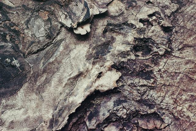 Understanding the Root Causes of Territorial Barking
