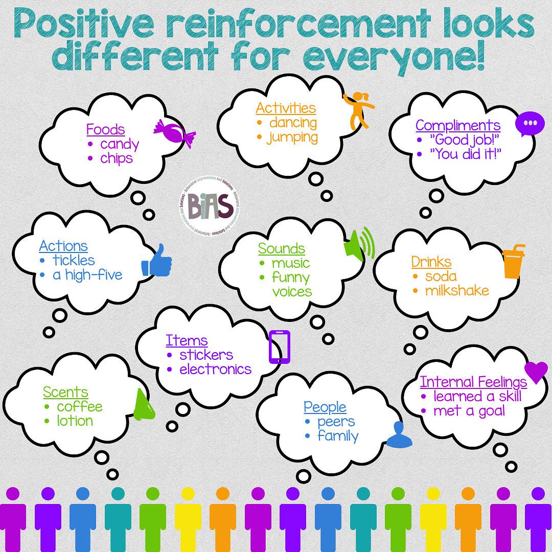 Can Positive Reinforcement Work Without Discipline