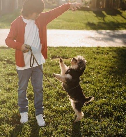 Can All Dogs Be Taught to Be Off-Leash Safe