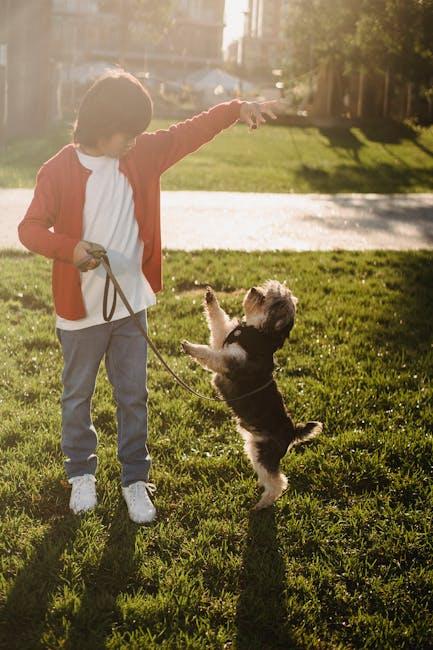 Can All Dogs Be Taught to Be Off-Leash Safe