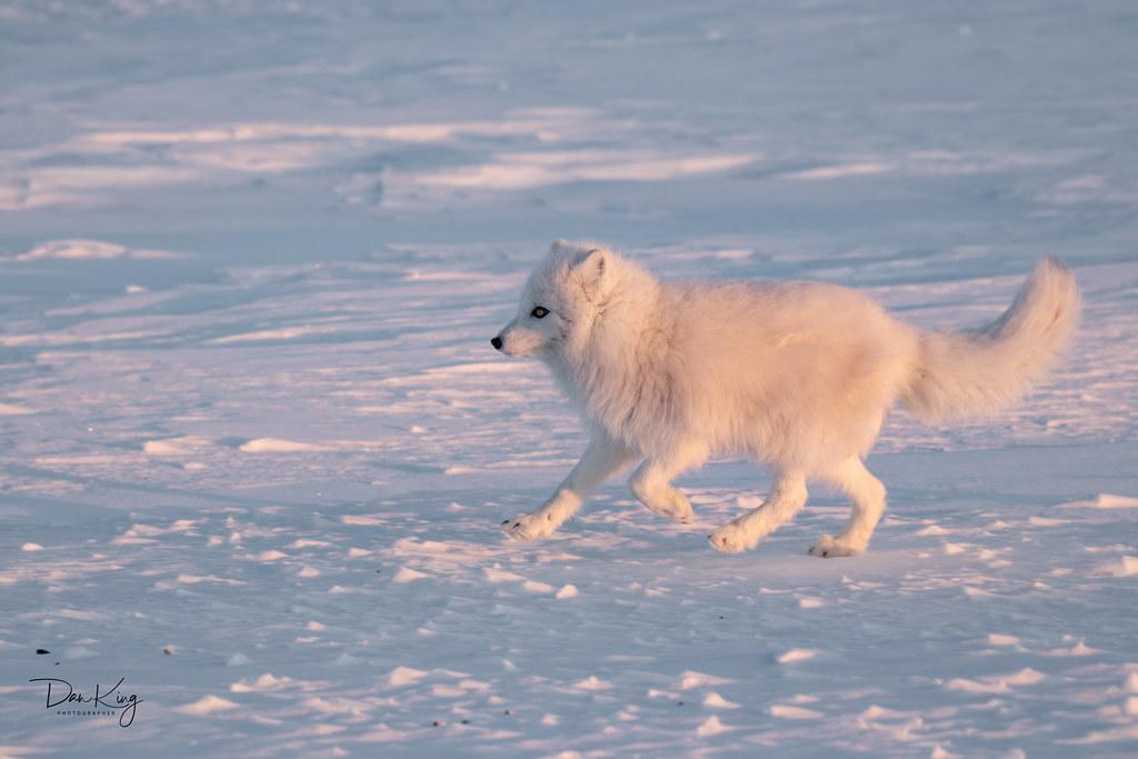 Effective Communication Techniques for a Smooth Introduction