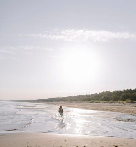 How to stop a dog from chasing wildlife