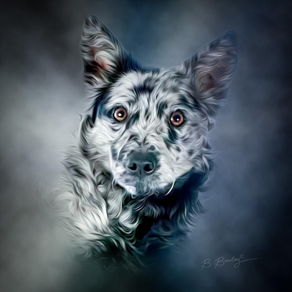 Should Aggressive Breeds Be Handled Differently in Training
