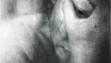 How to Understand Your Dog’s Emotional Triggers This Year