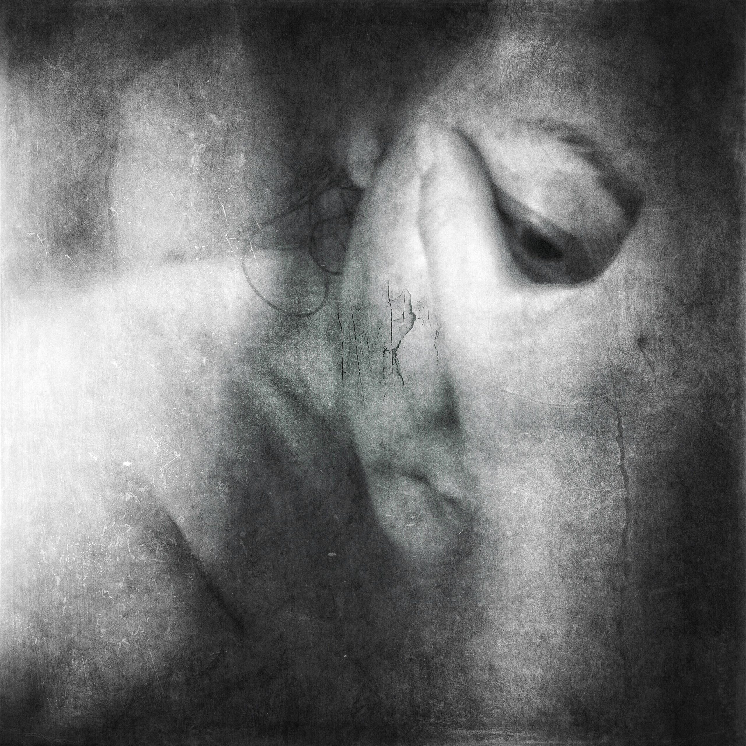 How to Understand Your Dog’s Emotional Triggers This Year