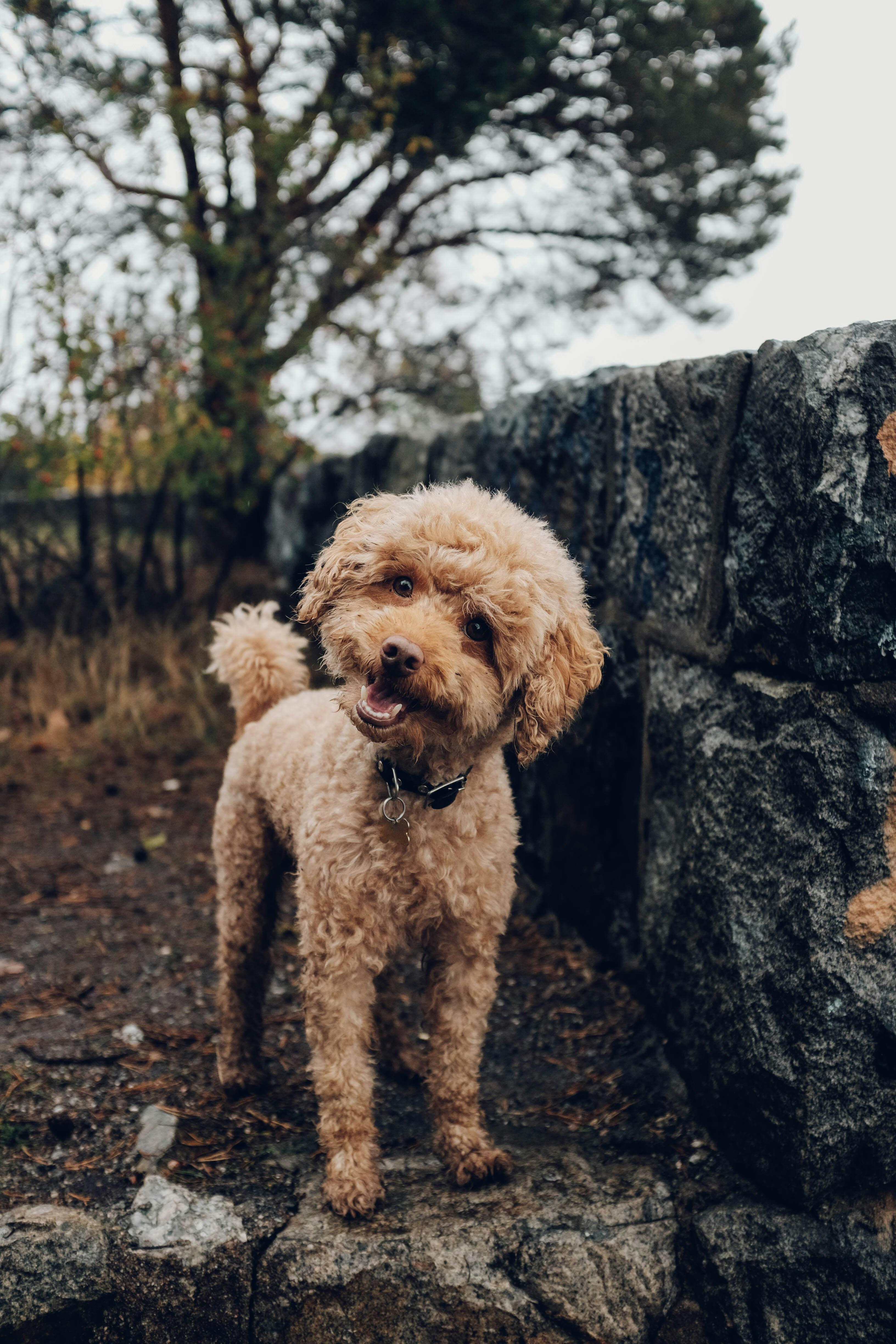 Building Trust: Fostering Positive Interactions with New People