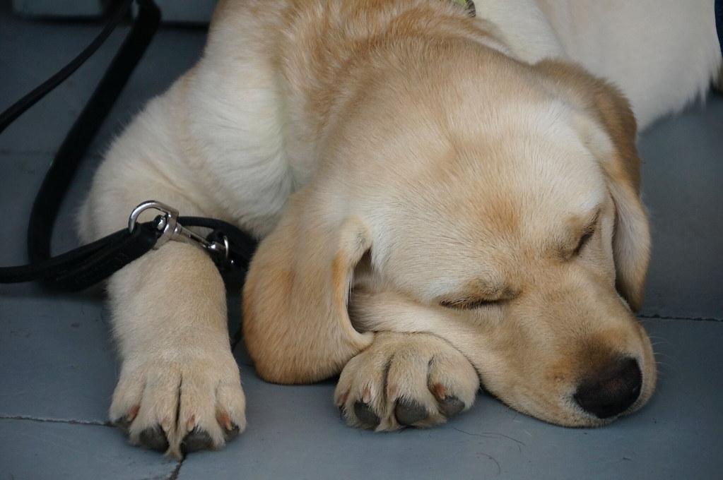 Troubleshooting Common Training‍ Challenges