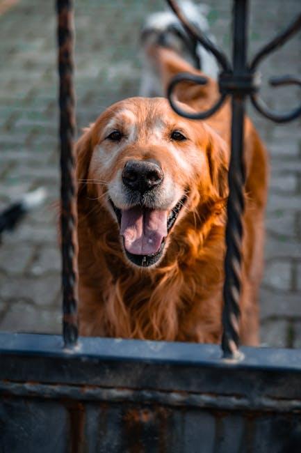 Understanding Canine Psychology: When Praise Hits the Mark