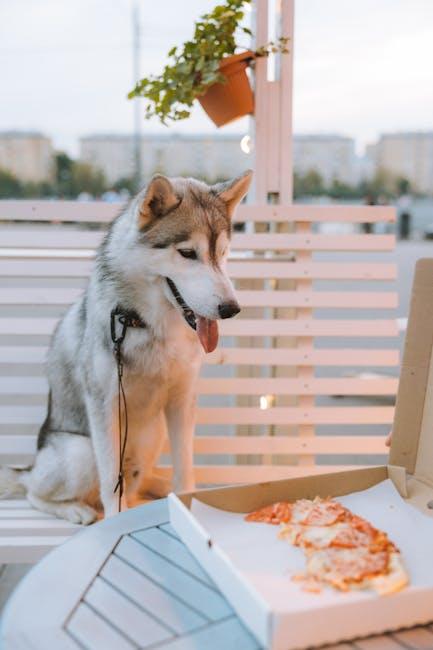 Effective Techniques for Behavior Modification in Aggressive Eaters