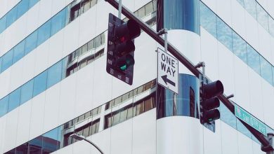 Advanced hand signal training for dogs in public spaces