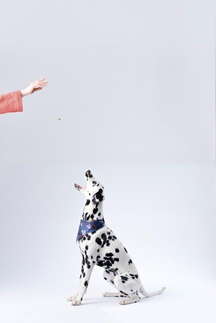 Understanding the⁢ Basics of Dog Hand Signals