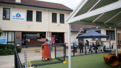 Reward-based methods for training a dog to stay indoors