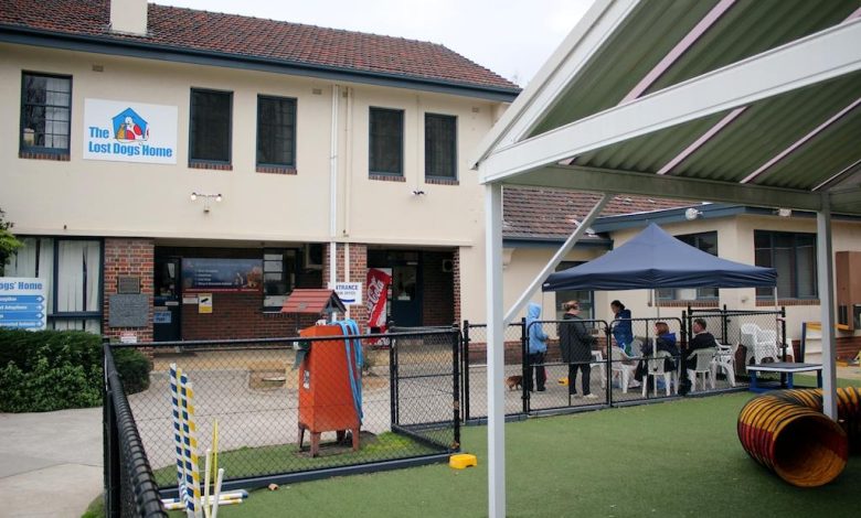 Reward-based methods for training a dog to stay indoors