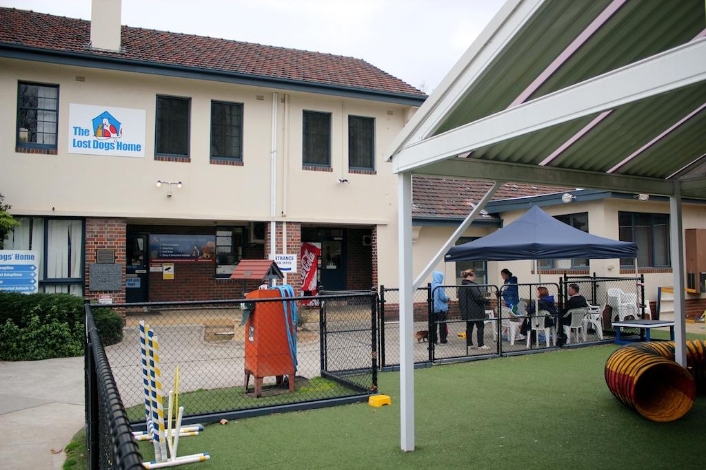 Reward-based methods for training a dog to stay indoors