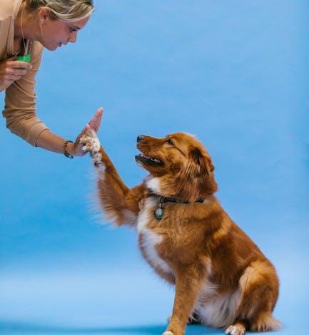 Does Positive Reinforcement Work for All Aggressive Dogs