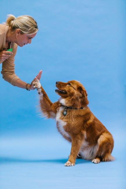 Does Positive Reinforcement Work for All Aggressive Dogs