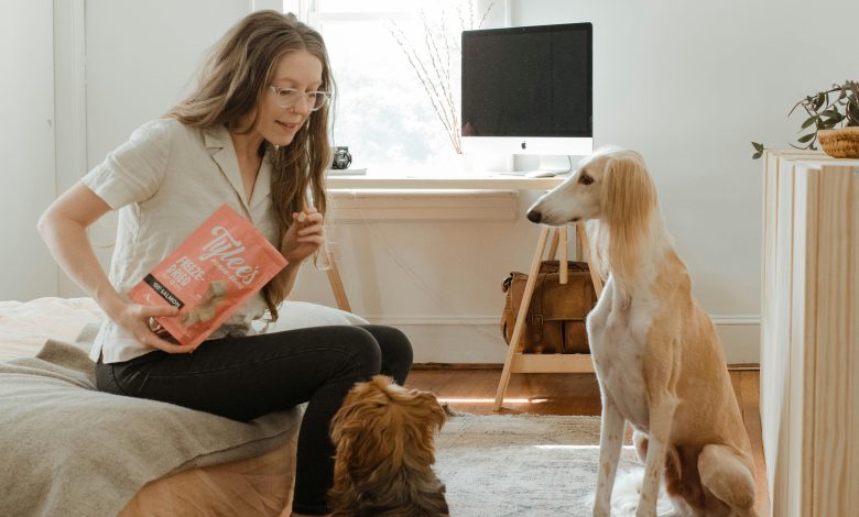 Teaching Your Dog to Stay Using Reward-Based Training