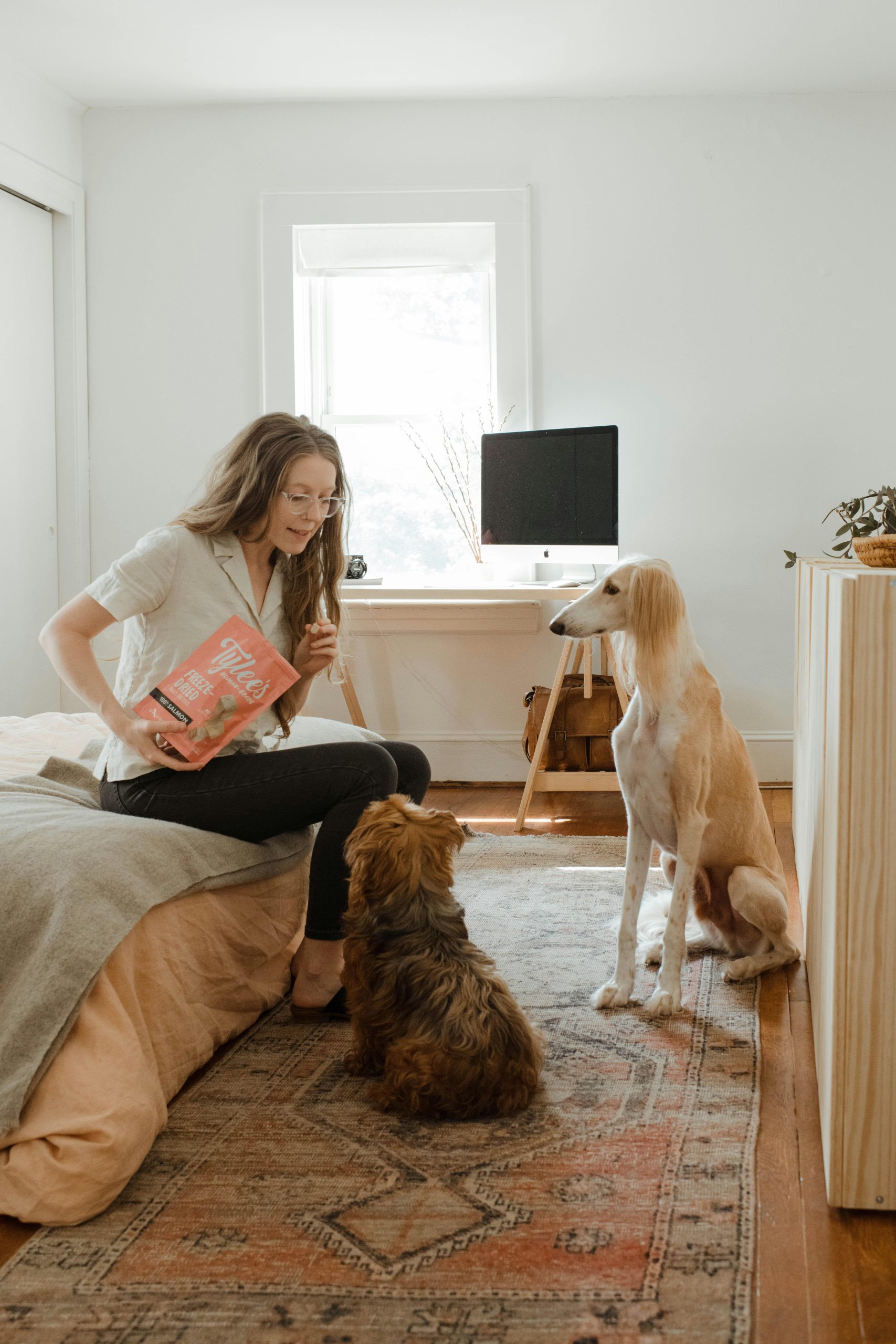 Teaching Your Dog to Stay Using Reward-Based Training