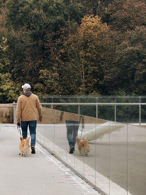 Step-by-Step Guide to Teaching Leash Walking Skills