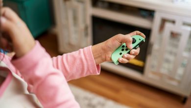 Using play as a reward in positive dog training