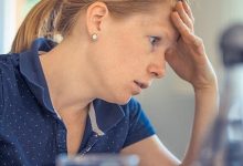 The Link Between Pet Stress and Destructive Behavior