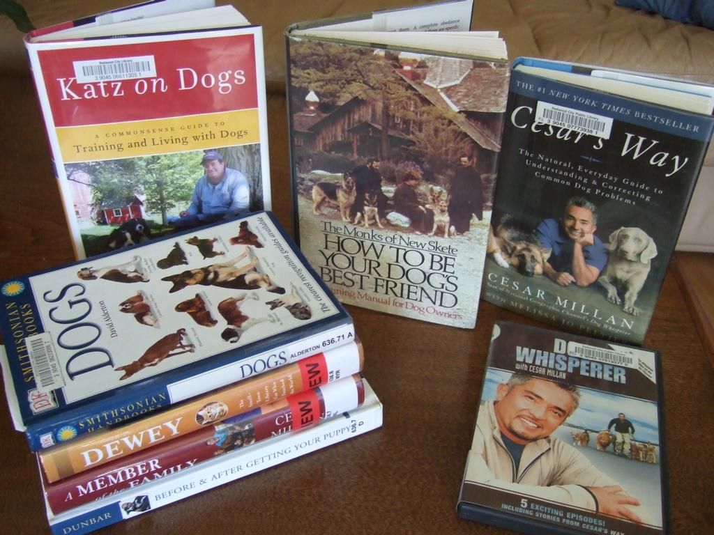 Evaluating the Impact on the Human-Animal Relationship