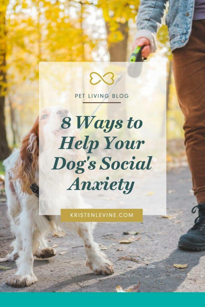 Identifying Signs of Anxiety in Public Settings
