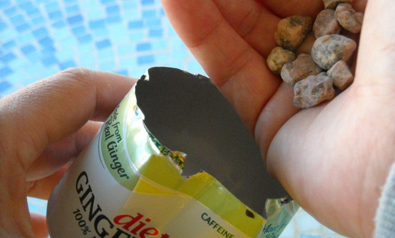 How to train your dog to ignore distractions at the dog park