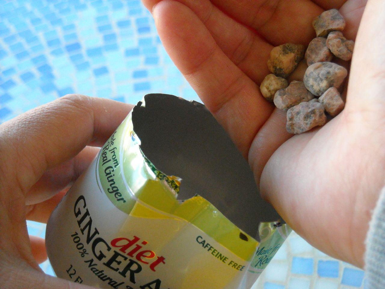 How to train your dog to ignore distractions at the dog park