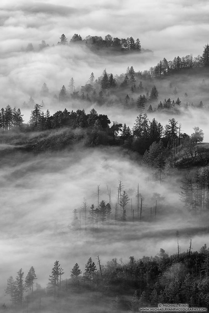 The Benefits of Positive Reinforcement for Long-Term Obedience