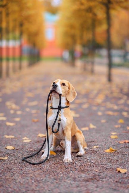 Are Some Dogs Born With an Innate Desire to Lead