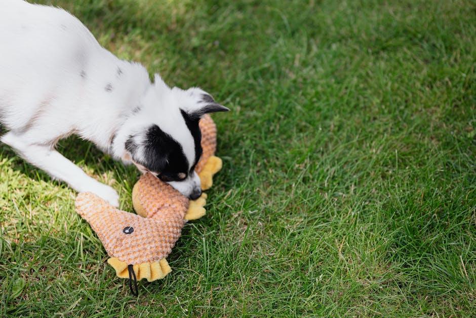 Simple Solutions to Fix Your Dog’s Destructive Chewing