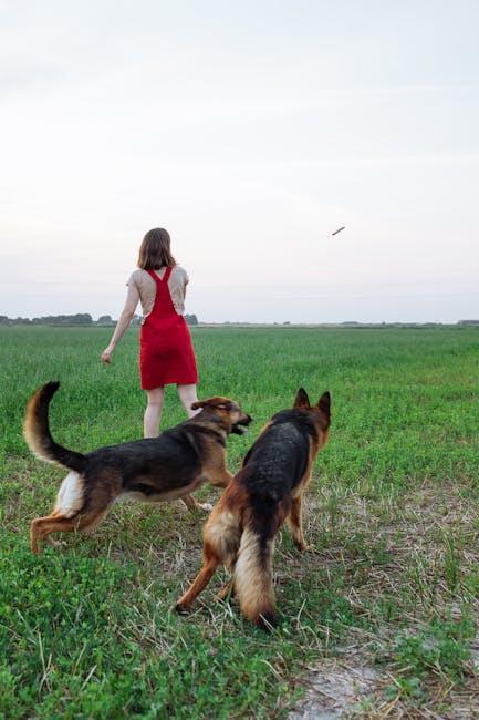 Transforming Bad Habits with Reward-Based Training