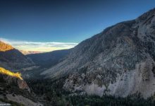 Advanced Behavior Training for Dogs That Chase Cars