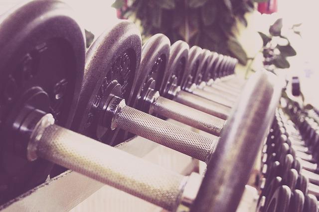 Building Consistency and Patience in Training Sessions