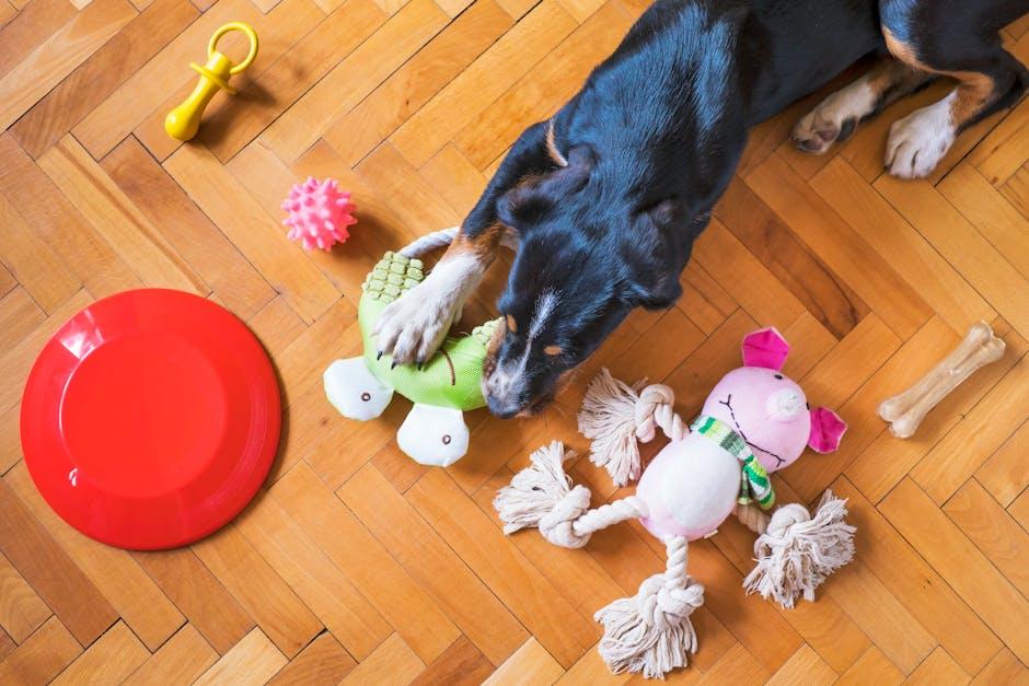 Choosing the Right Chew Toys and Alternatives