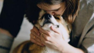 The Science Behind a Pet’s Attachment to Their Owner