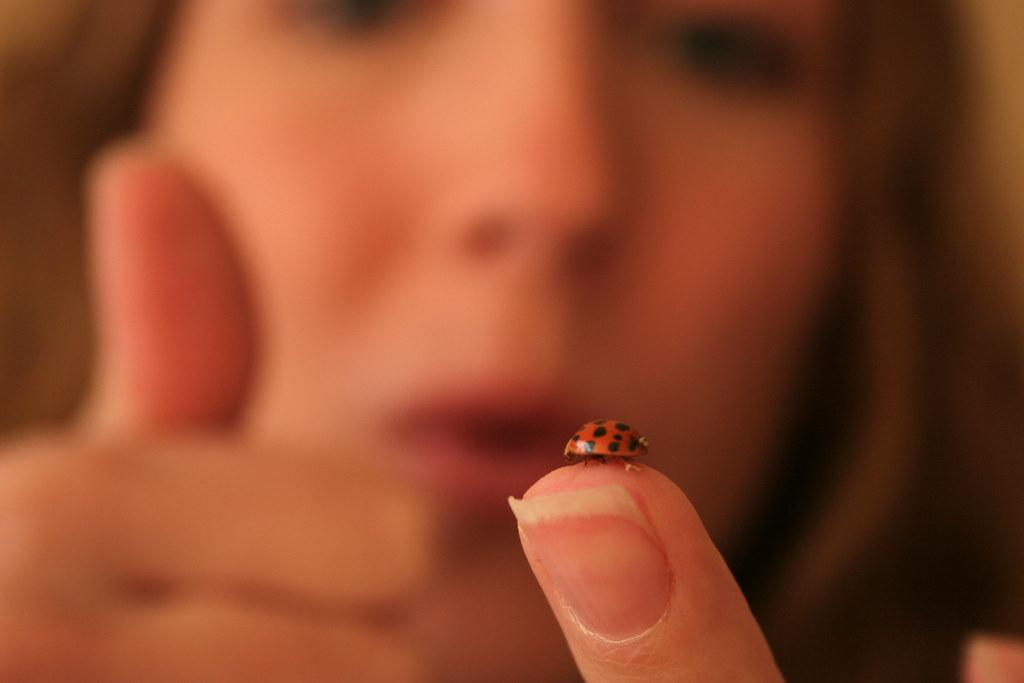 Implementing Positive Reinforcement Techniques for Quiet Nights