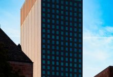 Correcting dominance behavior in multi-pet households